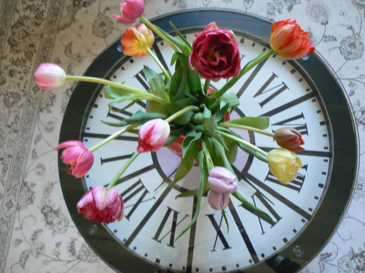 לה מאנש Petite Maison Romantique Au Calme, Coeur Historique Plantagenet, Vue Ville מראה חיצוני תמונה